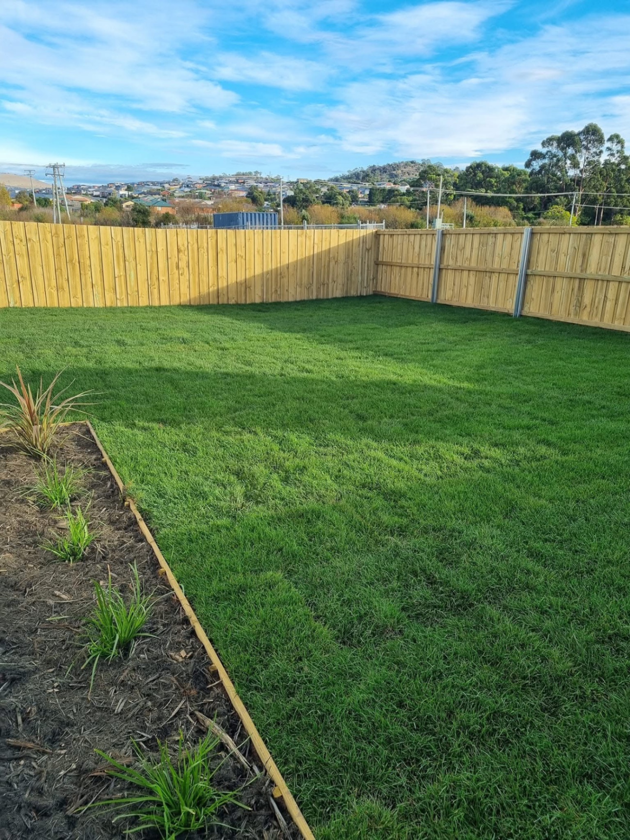 Timber paling fence around a freshly turfed backyard in Hobart