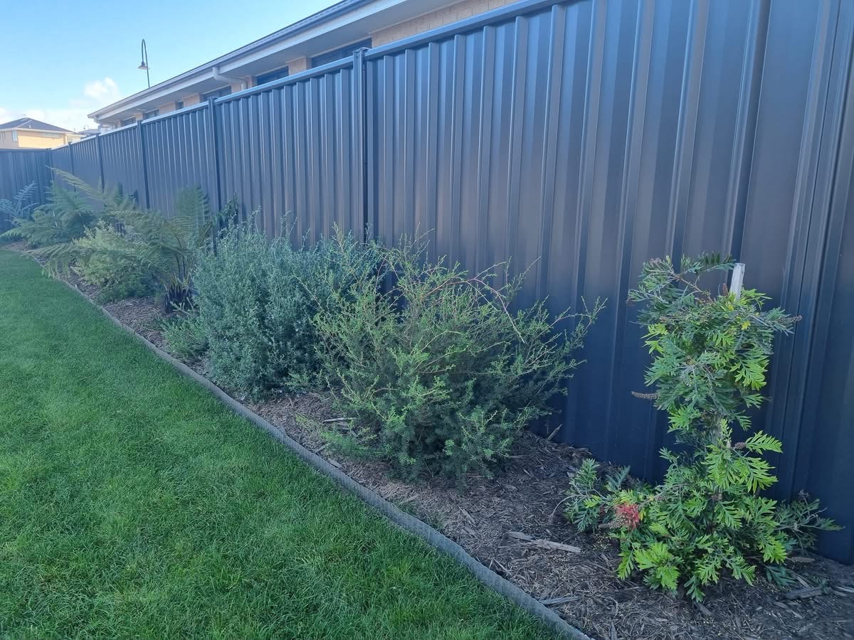 Dark Colorbond fence behind a garden bed